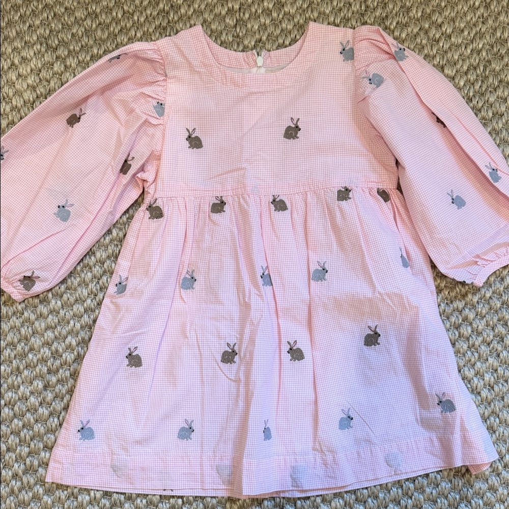 Pink Chicken Pink Bunny Embroidered Long Sleeve Dress